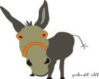 The_Donkey