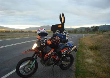 Mule_on_Bike